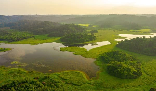 La beauté sauvage du Parc national de Cát Tiên