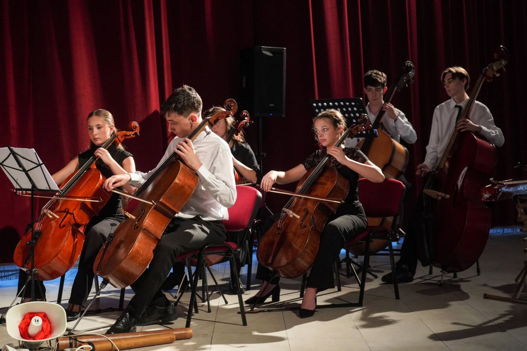 Có thể là hình ảnh về kèn oboe, kèn clarinet, đàn violin và văn bản