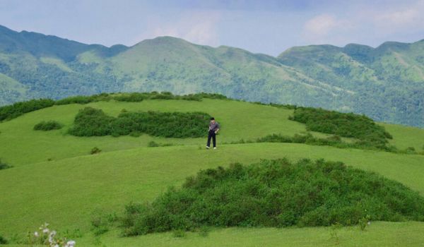 La vaste steppe aux collines herbeuses ondulantes et verdoyantes est un paysage merveilleux.