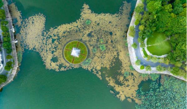 La nature, les rivières et les lacs créent la beauté sereine de Hà Nam.