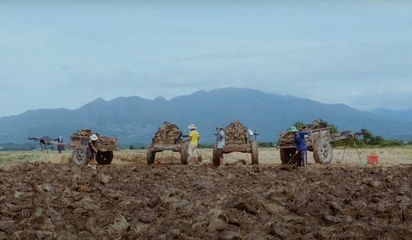 L'argile utilisée pour fabriquer la poterie des Cham provient de la région de la rivière Quao (Photo : British Council Vietnam)