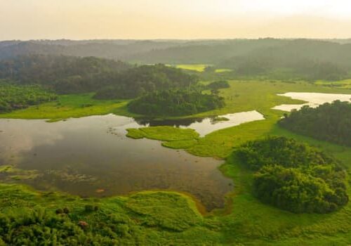 La beauté sauvage du Parc national de Cát Tiên