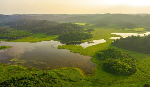 Vue aérienne du lac Bàu Sấu entouré de forêts tropicales dans le parc national de Cát Tiên, au Vietnam.